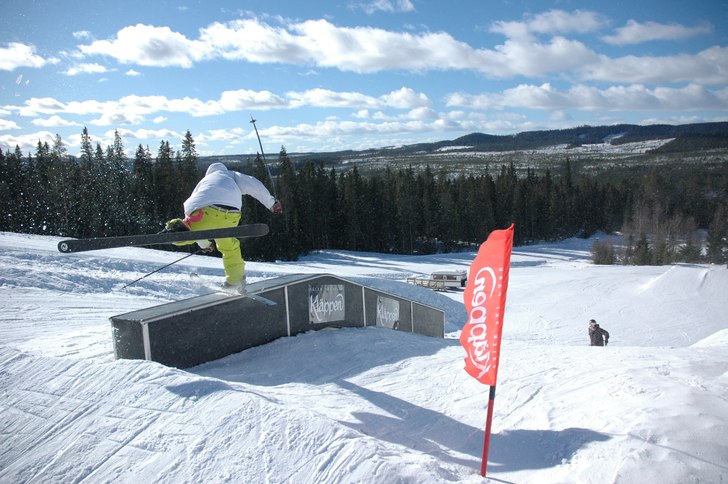 fint. . Foto: Oskar med  K. Åkare: Oscar med C.