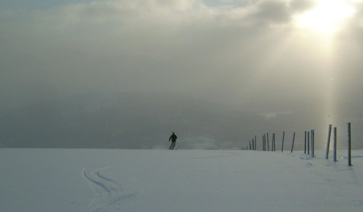 Foto: johanna. Åkare: sofia.