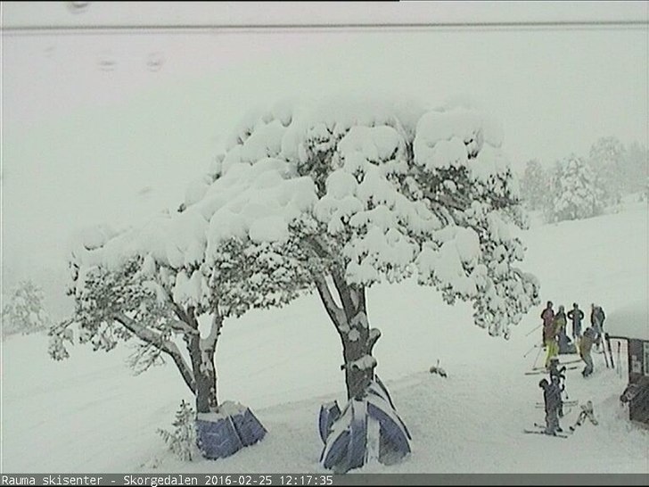 Og det bøtter ned med snø..
Det har falt godt ov.