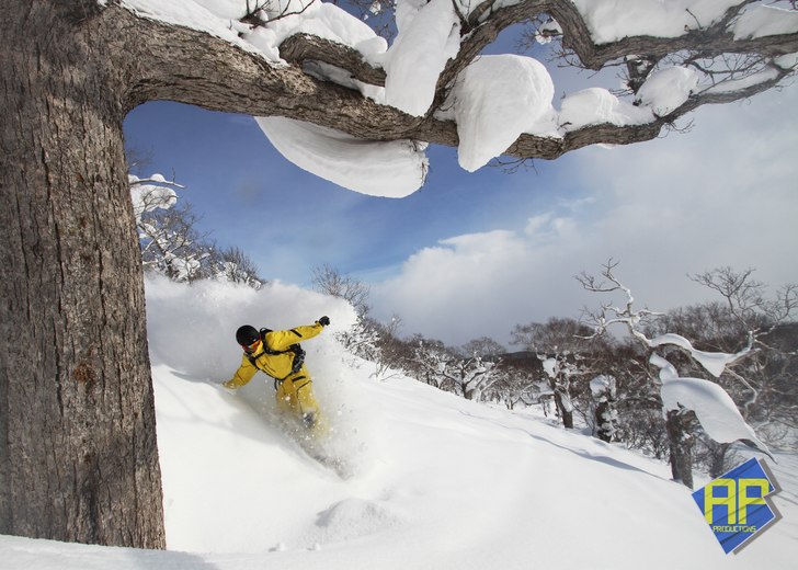 Foto: David Gärdshagen. Åkare: Rasmus Nilsson.