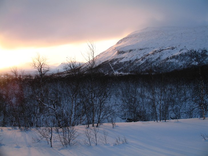 Njulla (Nuolja?) sett från Björkliden en solig k. Foto: Erik Thorsell.