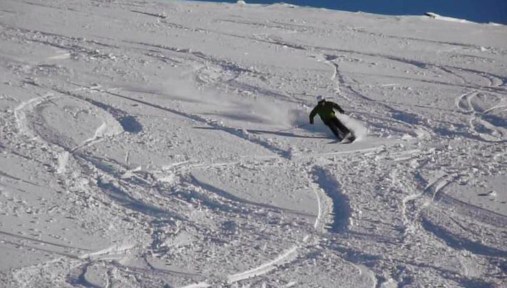 Svensk fluff. Foto: Linda Ifwer. Åkare: Patrik Hjelm.