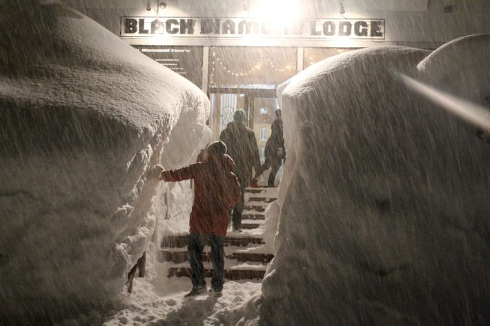 BDL. Foto: Christer Hällare.