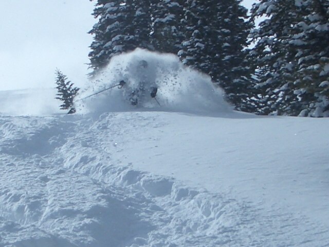Vilken puderdag vi hade... Som sälen fast annorlu. Foto: David Carlstedt. Åkare: Roland Burboeck.