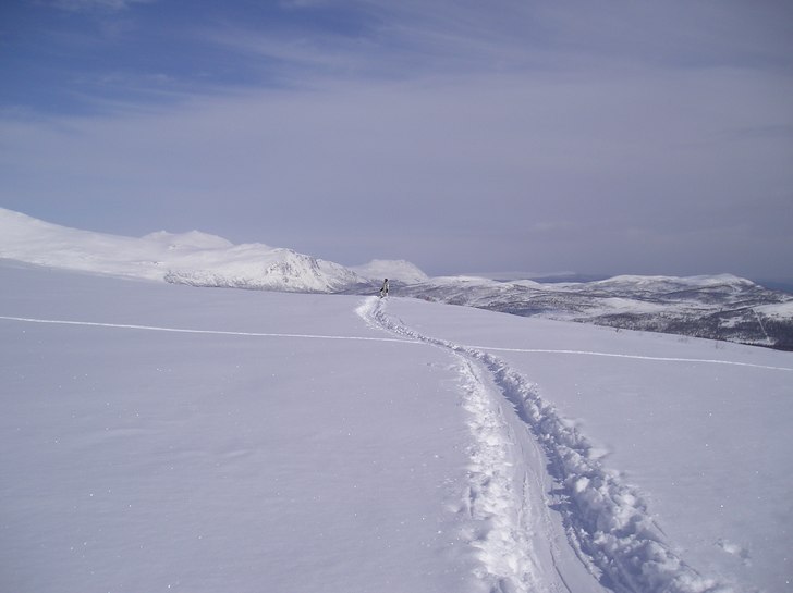 Robert försöker smälta in.. Foto: Daniel Albing. Åkare: Robert Berggren.