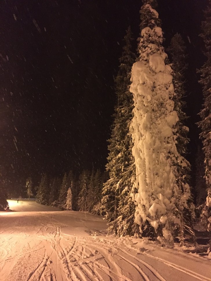 Kveldskjøring
Sesongens andre kveldskjøring i da.