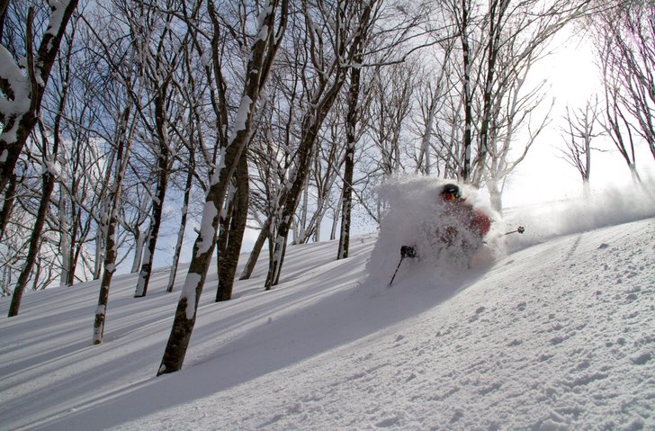 Foto: Powdermania.com. Åkare: Erik Arvidsson.