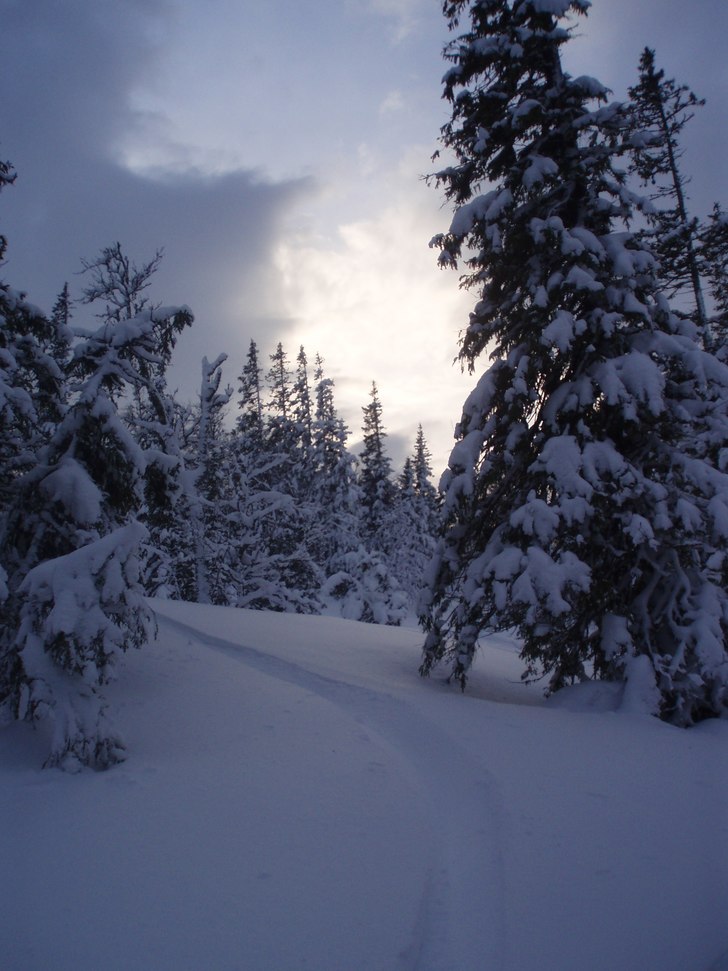 Bild från ett sjukt fint åk, oupptäckt och bara. Foto: Julia Sundström.