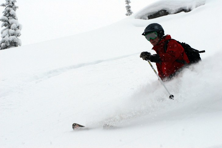 cat skiing i fernie med gott puder. Foto: claude perrault. Åkare: victor segergren.