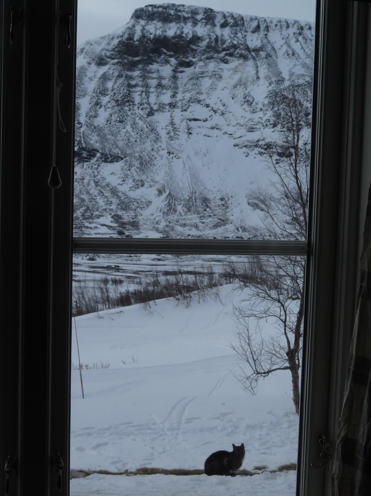 Skárttaklacken sett rakt norrifrån, rännan är . Foto: tryggve tirén.