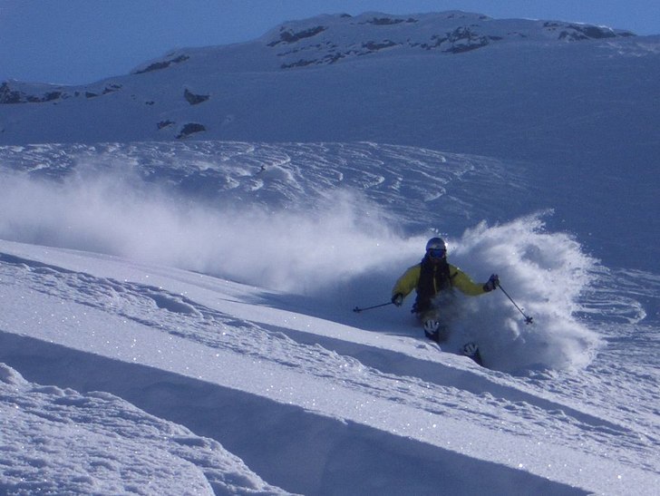 Foto: Kalle Eriksson. Åkare: Robert Hortlund.