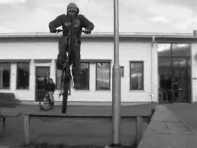 Abubacka.. Foto: Jonathan Johansson.. Åkare: Robin Ljung..