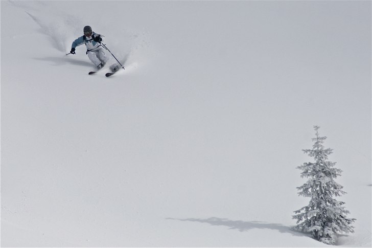 Jag och en snygg gran.. Foto: Felix Grunert. Åkare: Rikard Lindblad.