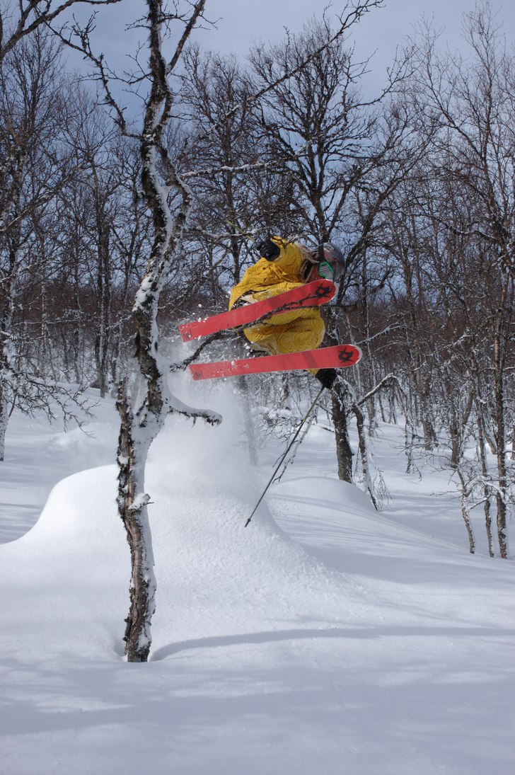 david upp i ett träd :P. Foto: Ebba Kling-Odencrants. Åkare: David Odencrants.