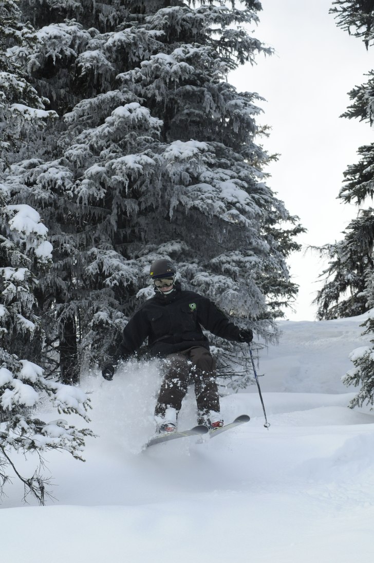 Foto: John Dougall. Åkare: Jonas.