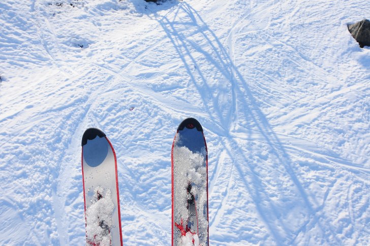 Foto: Stefan Millgård. Åkare: Stefan Millgård.