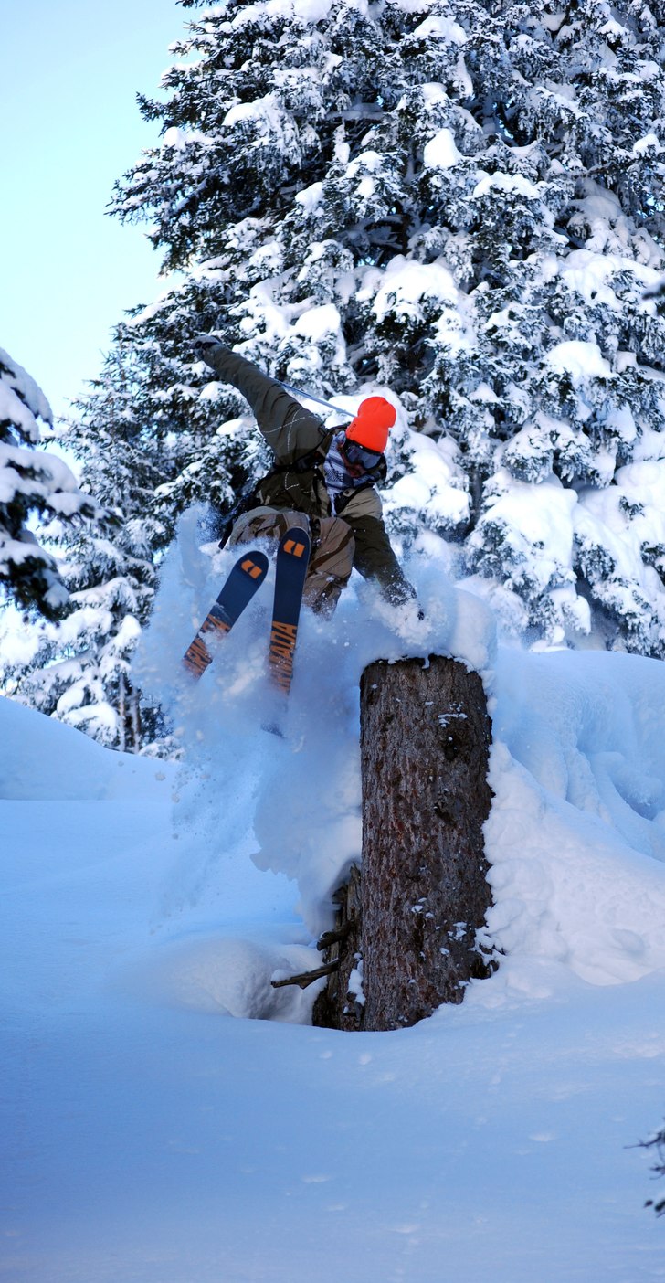 Mr Ced handplantar en stubbe i rendlskogen.. Foto: Eric Westling. Åkare: Robin Cedvin.