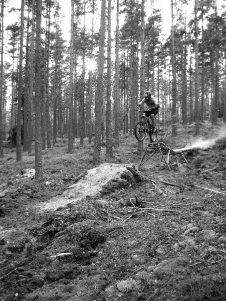 Hemmasnickeri i dalaskogen. Foto: Ludvig Klärcke. Åkare: Fredrik Westman.