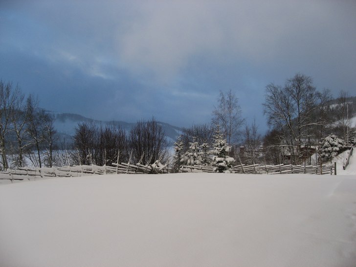 Foto: Johnny Nilsson.