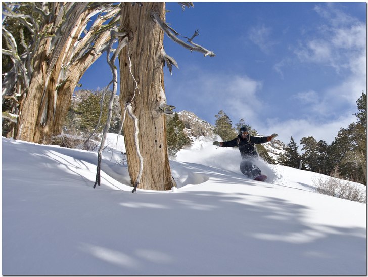 Foto: oleg krivtsov. Åkare: oleg stepin.