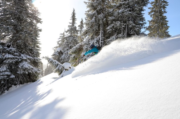 Foto: Henrik Emilsson. Åkare: Karin Wallin.