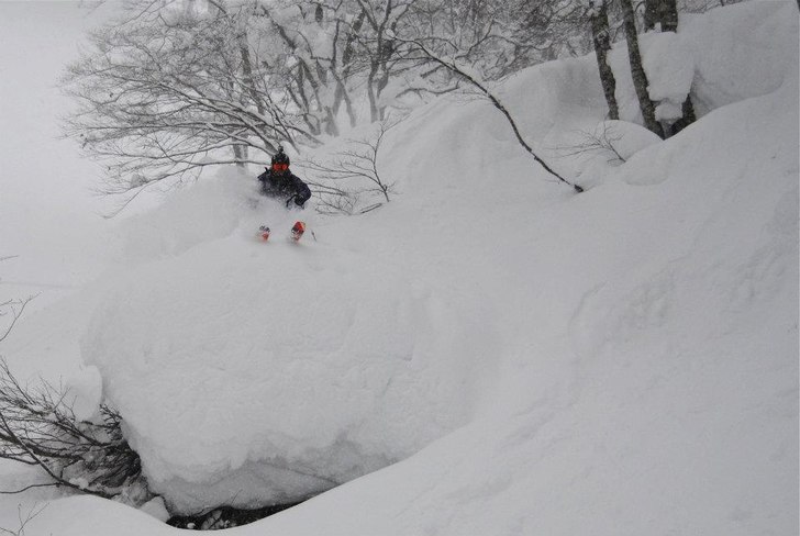 Foto: Axel. Åkare: JA.