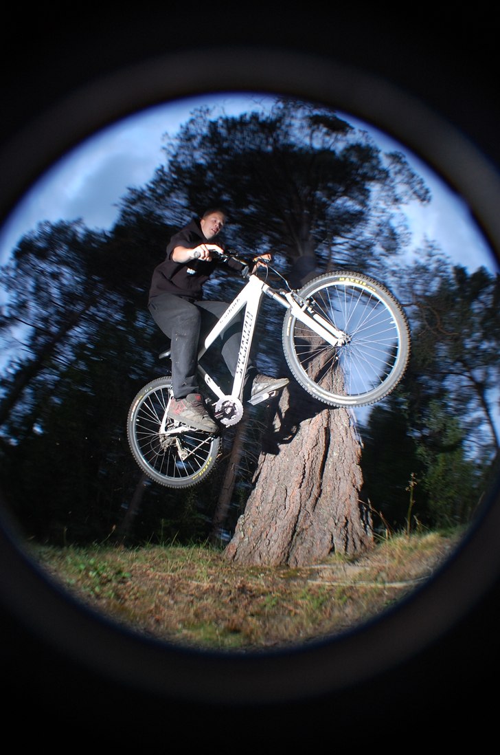 Foto: Nasko paunsson. Åkare: jakob lundström.