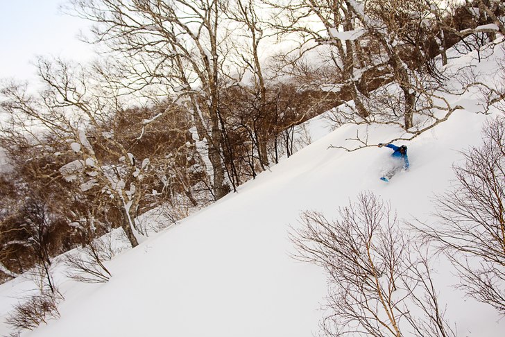 Foto: Johan Karlsson. Åkare: Tomas Halvarsson.