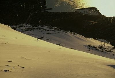 Foto: Johanna Carlsson. Åkare: Erik Assum.