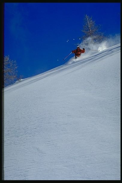 Foto: Henrik Björkenstam. Åkare: Erik Palm.