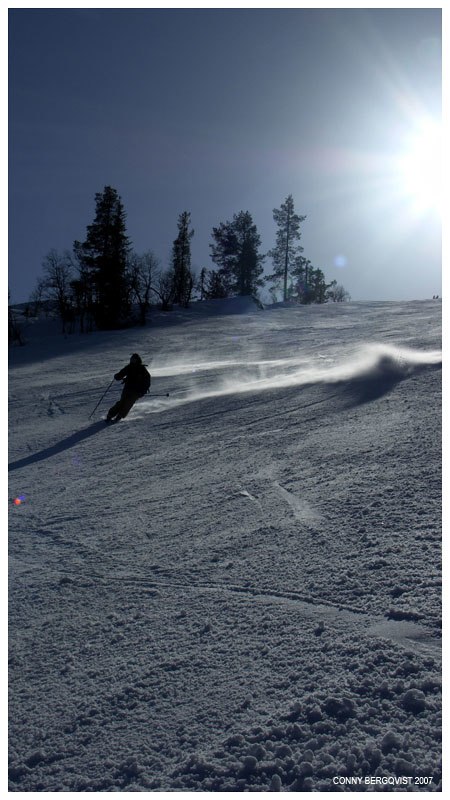 Foto: Erika Bergqvist. Åkare: Conny Bergqvist.