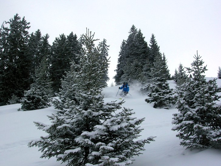 Sista åkdagen kom en dump o hela berget var vårt. Foto: Kristofer Hallgren. Åkare: Johan Jönsson.