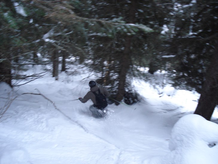 Från en skogsrunda under sportlovet uppe i Åre... Foto: Rickad Andersson. Åkare: Thomas Andersson.