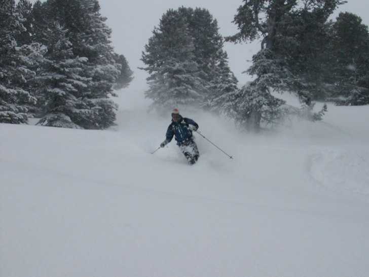 Soft snöstormsdag i skogen.... Foto: Mårten Forste. Åkare: Erik Svanberg.