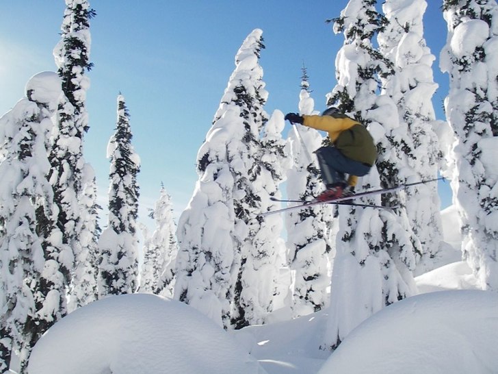 luftfärd över träd med ett översnöat träd so. Foto: Mats Axelsson. Åkare: Markus Fredlander.