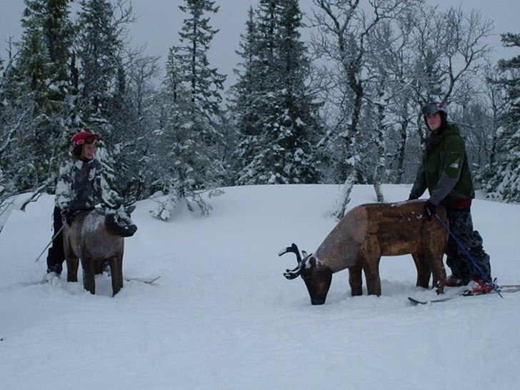 Åkare: ja o bror sätter på renar i åre:P.