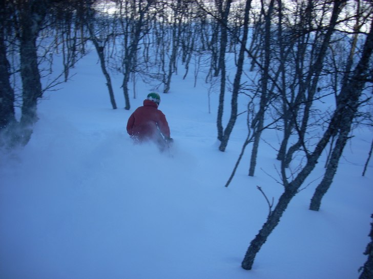 Foto: Adam Bech. Åkare: Joakim Schärer Østhus.