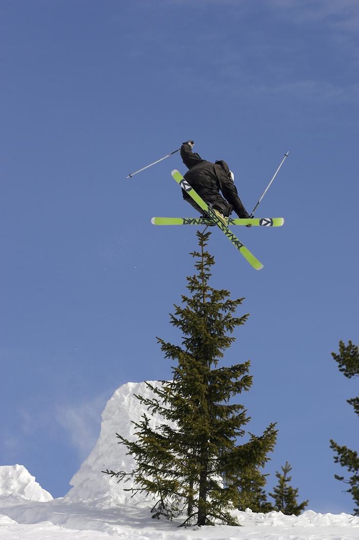 360 kysser trädet. Foto: Adam martell. Åkare: Lars ilis.