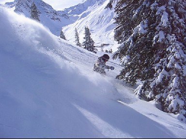 Foto: Lars Croy. Åkare: Rickard Croy.