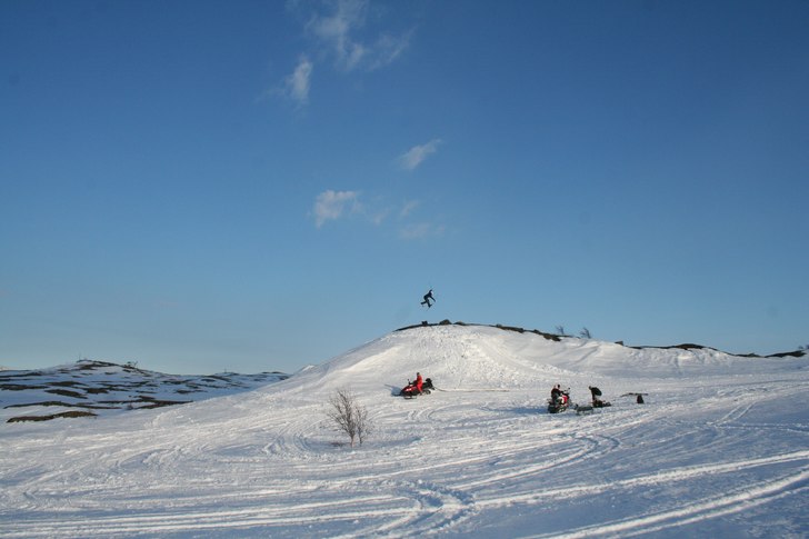 tresexnoll. Foto: denice. Åkare: rasse p.