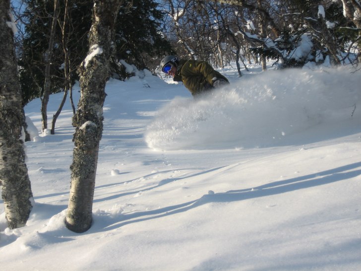Foto: Elin Nordh. Åkare: Tobias Rydberg.