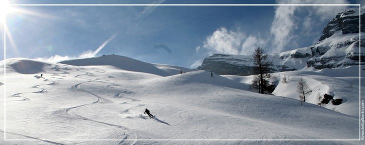 tracks. Foto: alby. Åkare: zeo.