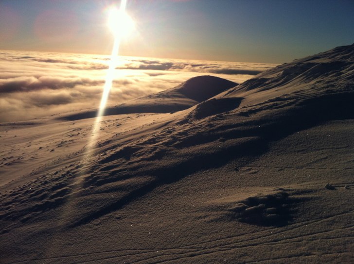 Foto: Johan Åkesson.