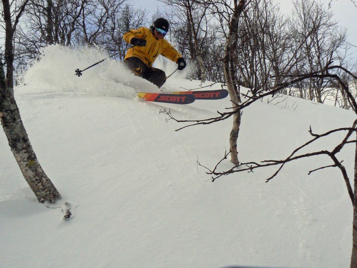 Janne trängs bland fjällbjörkarna i BE:S löpa. Foto: Stefan Vikberg. Åkare: Jan Vikberg.