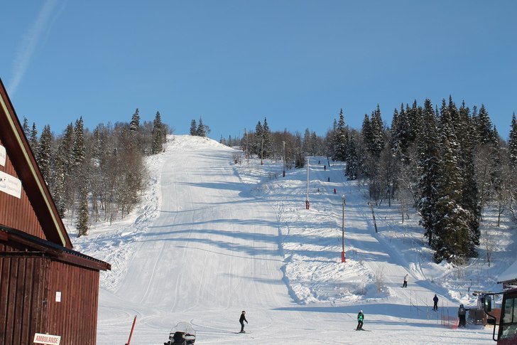 MORSDAG
I dag får alle mødre gratis heiskort i a.