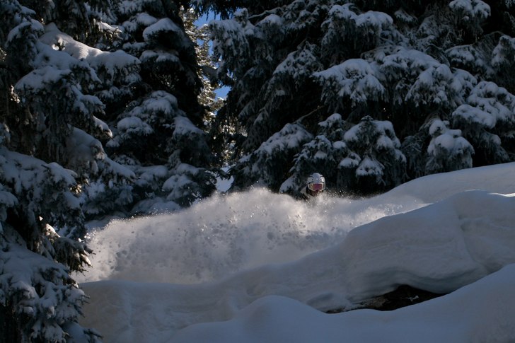 Langenskogen när den är som bäst.. Foto: Felix Grunert. Åkare: Patrik Hammarlund.