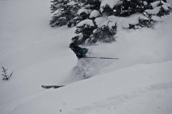 Foto: Kjibbe. Åkare: Claes.