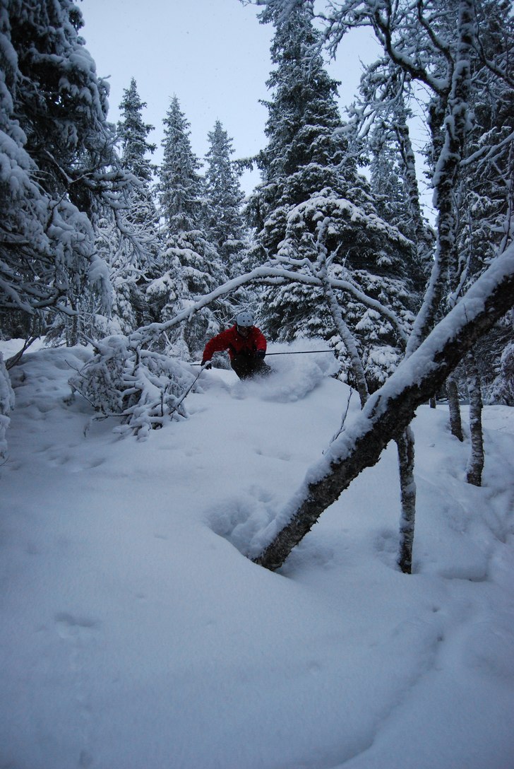 Foto: Evelina Larsson. Åkare: Samuel Johansson.