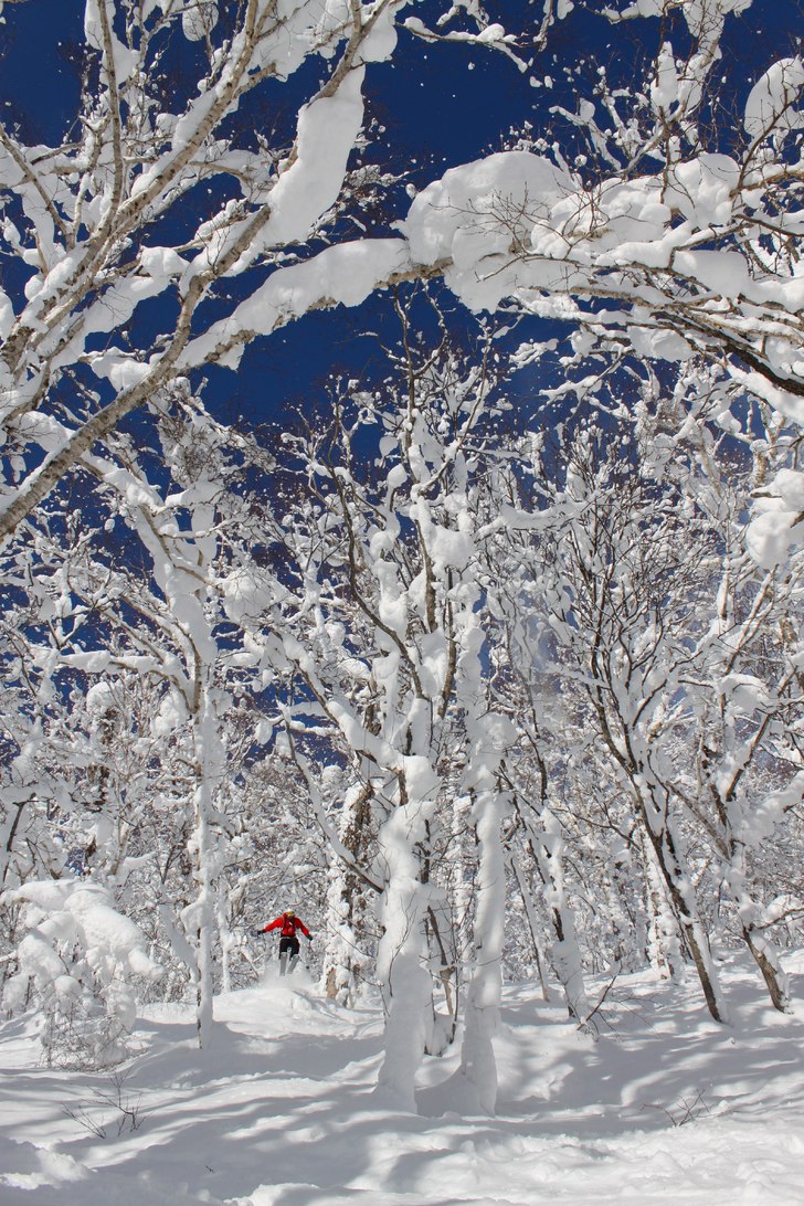 Foto: Ingvild Birgitte Ellingsrud. Åkare: Sigmund Vedvik.
