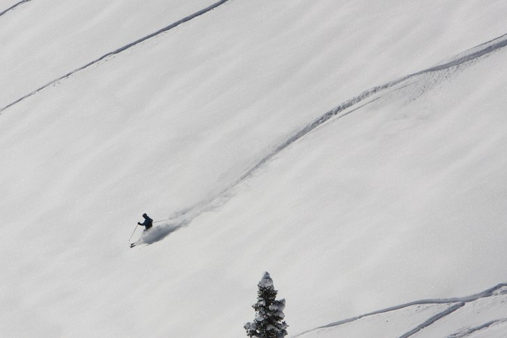 Foto: Niclas Schönfelder. Åkare: Molle Molin.